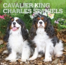 Image for Cavalier King Charles Spaniels 2021 Square Foil Calendar
