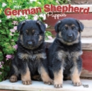 Image for German Shepherd Puppies 2021 Square Calendar
