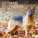 Image for German Shepherds 2021 Square Foil Calendar