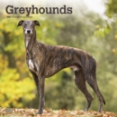 Image for Greyhounds 2021 Square Calendar
