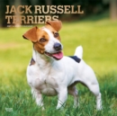 Image for Jack Russell Terriers 2021 Square Foil Calendar
