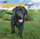 Image for Labrador Retriever Puppies, Black 2021 Square Calendar