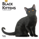 Image for Black Kittens 2021 Mini 7X7 Calendar