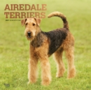 Image for Airedale Terriers 2021 Square Foil Calendar