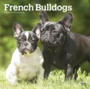 Image for French Bulldogs 2021 Square Calendar