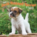 Image for Jack Russell Terrier Puppies 2021 Square Calendar