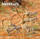 Image for Meerkats 2021 Square Btuk Calendar