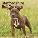 Image for Staffordshire Bull Terriers 2021 Square Btuk Calendar