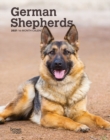 Image for German Shepherds 2021 Engagement Calendar