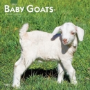 Image for BABY GOATS 2022 SQUARE