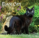 Image for BLACK CATS 2022 SQUARE FOIL