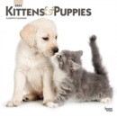 Image for KITTENS PUPPIES 2022 SQUARE FOIL