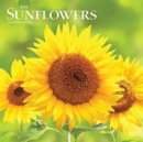Image for SUNFLOWERS 2022 SQUARE