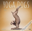 Image for YOGA DOGS 2022 SQUARE