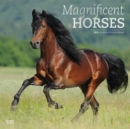 Image for Magnificent Horses 2021 Square Foil Avc Calendar