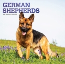 Image for GERMAN SHEPHERDS 2022 SQUARE FOIL