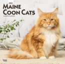 Image for MAINE COON CATS 2022 SQUARE