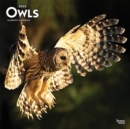 Image for OWLS 2022 SQUARE