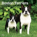 Image for BOSTON TERRIERS 2022 SQUARE
