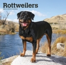 Image for ROTTWEILERS 2022 SQUARE