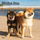 Image for SHIBA INU 2022 SQUARE
