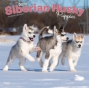 Image for SIBERIAN HUSKY PUPPIES 2022 SQUARE