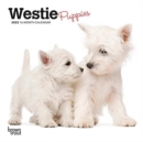 Image for WEST HIGHLAND WHITE TERRIER PUPPIES 2022