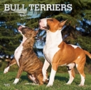 Image for BULL TERRIERS 2022 SQUARE