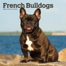 Image for FRENCH BULLDOGS 2022 SQUARE