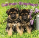 Image for GERMAN SHEPHERD PUPPIES 2022 SQUARE