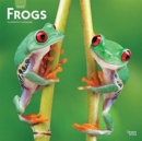 Image for FROGS 2022 SQUARE