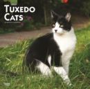 Image for Tuxedo Cats 2023 Square Calendar