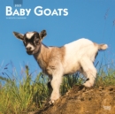 Image for Baby Goats 2023 Square Calendar