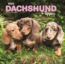 Image for Dachshund Puppies 2023 Square Calendar