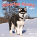 Image for Siberian Husky Puppies 2023 Square Calendar