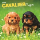 Image for Cavalier King Charles Spaniel Puppies 2023 Square Calendar