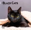 Image for BLACK CATS 2024 MINI 7X7