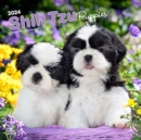Image for SHIH TZU PUPPIES 2024 SQUARE