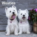Image for WEST HIGHLAND WHITE TERRIERS 2024 SQUARE