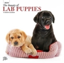 Image for LABRADOR RETRIEVER PUPPIES THE BEAUTY OF