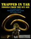 Image for Trapped in Tar