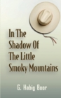 Image for In the Shadow of the Little Smoky Mountains