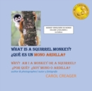 Image for What Is a Squirrel Monkey
