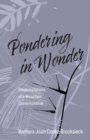 Image for Pondering in Wonder : Contemplations of a Mountain Contemplative