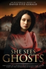 Image for She Sees Ghosts - The Story of a Woman Who Rescues Lost Souls : Part of the Adirondack Spirit Series