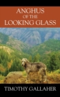Image for Anghus of the Looking Glass
