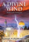 Image for A Divine Wind : Taming a Tornado Anticipating a Trillion Dollar Disruptive Technology A Vision of Peace in the Middle East An Allegory on the Biblical Book of Job