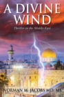 Image for A Divine Wind : Taming a Tornado Anticipating a Trillion Dollar Disruptive Technology A Vision of Peace in the Middle East An Allegory on the Biblical Book of Job