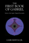 Image for The First Book of Gabriel : Seeker of the Light: Original Screenplay