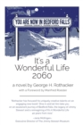 Image for It&#39;s a Wonderful Life - 2060